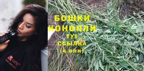 spice Арсеньев