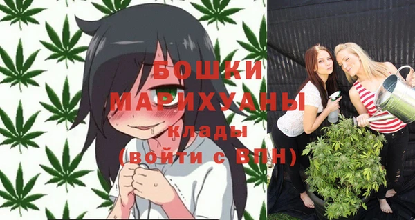 бошки Аркадак