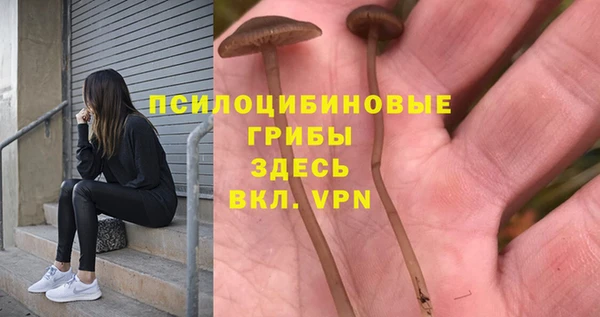 гидра Армянск