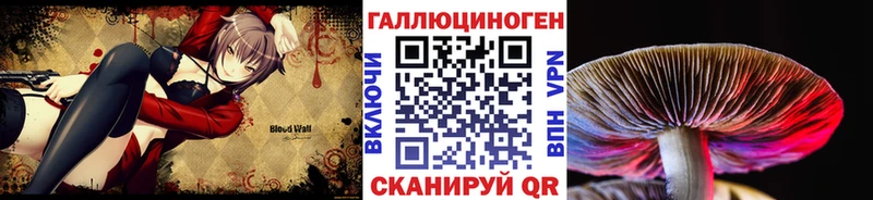 Галлюциногенные грибы GOLDEN TEACHER  Болхов 